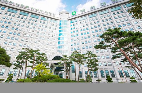 公开信息按发布时间滚动